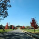 Carmen Blake - @kwong_carmen - Twitter