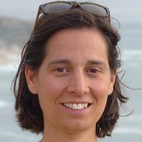 Susana Vinga (@susanavinga) Twitter profile photo