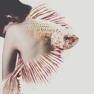 harrie_slimz's profile picture. Being at peace with myself matters a lot💪🏽💪🏽