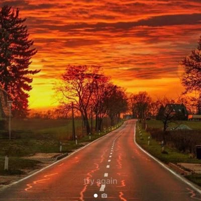 mherbert1's profile picture. 