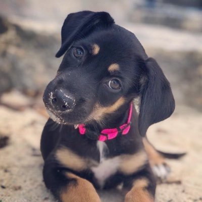 cassidy_s's profile picture. 