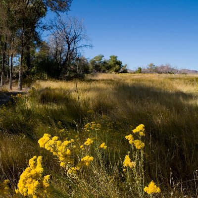 MauriciaBaca's profile picture. Hiker, pup walker, explorer, thankful for Nature & family; Home means NV; Latinx; she/her/hers; opinions are my own; #BlackLivesMatter #RepresentationMatters