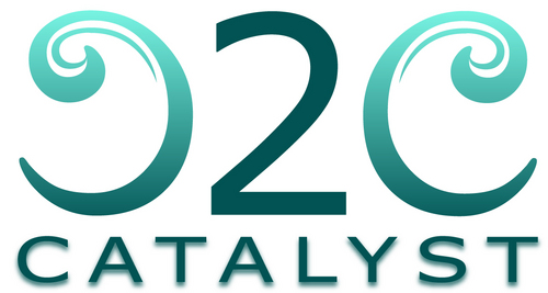 c2ccatalystwest's profile picture. We're a unique consulting company with personalized plans that allow your company the flexibility to work with us to develop solutions that meet your needs.