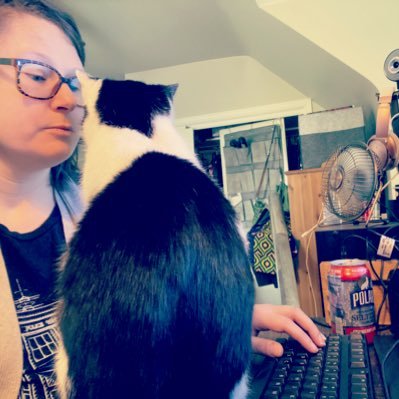 Self-taught BI Dev/aspiring SQL guru for major health system (All opinions=my own). Indoor 🐈⬛ loving the virtual life! @EM_SQL@techhub.social