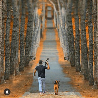 asmgul95's profile picture. Читатель