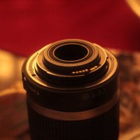 untamed (@untamedtr) Twitter profile photo