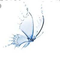 Flutterby (@flutter09666430) 's Twitter Profile