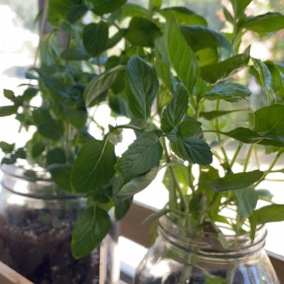 Donaldo27002627's profile picture. Engineer & Artist. 🦎 Account to follow cool people, ideas & projects.