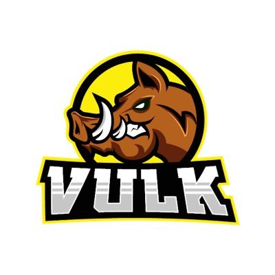 VuLK96