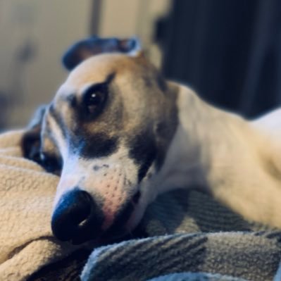 HEADing4change's profile picture. First time Headteacher, educationalist, mother of two. Plate spinner, organiser, taxi, and teacher first and foremost. All views my own