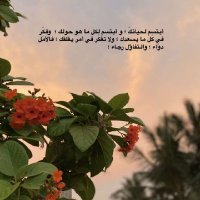 جواهر 🇸🇦💚 (@gg3340) 's Twitter Profile Photo