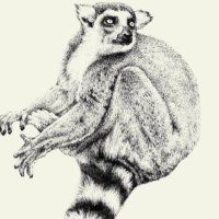 ZoonomiaProject (@zoonomiaproject) 's Twitter Profile