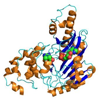 A non-existent enzyme... but common in the medical literature.

Articles refer to 