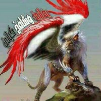 فحل اليمن (@5hcyry5hqyvfkzd) Twitter profile photo