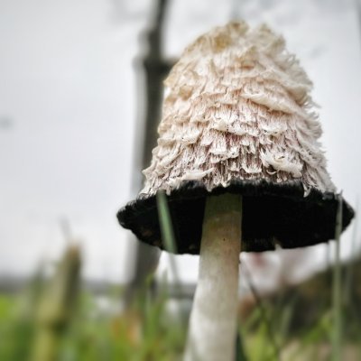 HaJeeWee's profile picture. ...