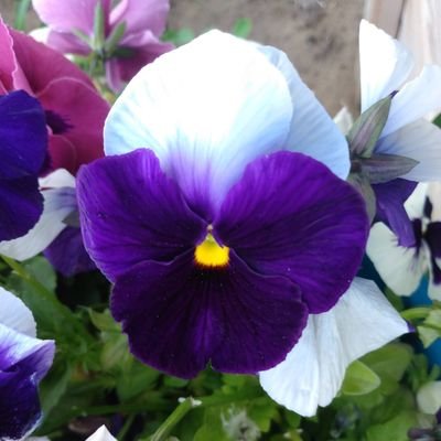 ChristyGodfrey5's profile picture. I love Montana..  Wife to Mark, Tristen and Cody’s mom.  People should lift each other up and not tear them down.