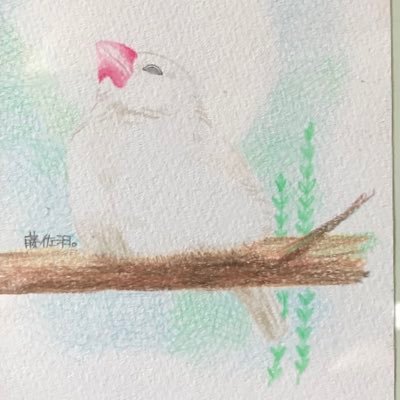 ろくさんのプロフィール画像