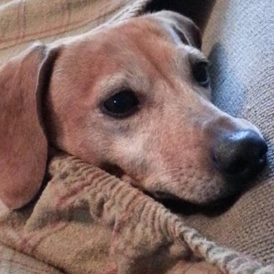 erin_on_point's profile picture. Book collector, fine arts enthusiast, and fan of basic human decency.