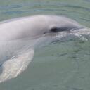 Nancy Smith - @NancyBeth0717 - Twitter