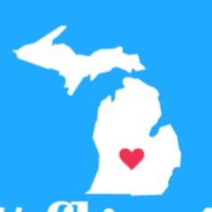 Grassroots digital organizing to flip Michigan's legislature from red to blue!