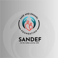 S&E Foundation(@Sandef_org) 's Twitter Profile Photo