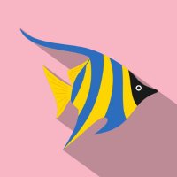 Reef Goals (@realreefgoals) 's Twitter Profile