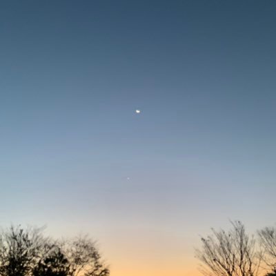 bibis_1127's profile picture. 혼자조용히하는덕질