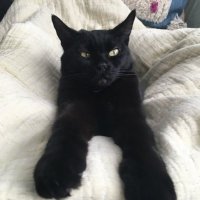 jd cuban (@jd_cubes) 's Twitter Profile