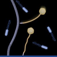 Ramaciotti Centre for Cryo EM (@cryoem_monash) 's Twitter Profile