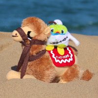 鳥取県観光連盟(とっとり旅【公式】) (@tottori_guide) 's Twitter Profile