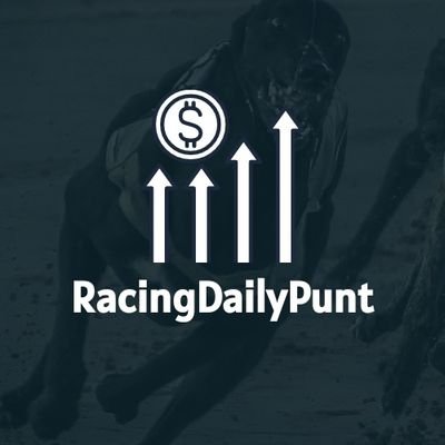 Experienced Horse/Greyhound racing tipster