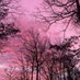 purple-pink skies (@a_poem_for_you) Twitter profile photo purple-pink skies (@a_poem_for_you) Twitter profile photo