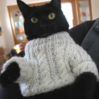EvilKittyinaSweater(@Buckiemohawk) 's Twitter Profile Photo