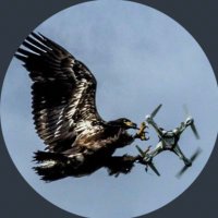 hills to mountains π (@hillstomtns) 's Twitter Profile