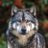 Lone_W01f's profile image