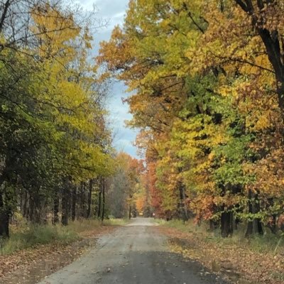 DowkerRhonda's profile picture. : )