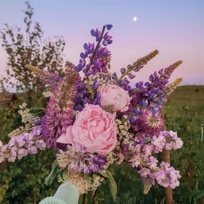 _yildizgezgini's profile picture. Ars longa, vita brevis