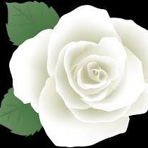 Brexiteer, Pro-Union, Anti SNP, now Reform, not woke, sick of the way this country is going, @LUFC #MOT, Leeds Rhinos, love animals, married, no DMs