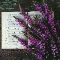 cheptoek bree (@254bookworm) 's Twitter Profile