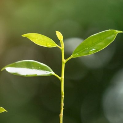 VII CONFERÊNCIA SULAMERICANA DE CONTABILIDADE AMBIENTAL

Sociedade e Contabilidade: Presente e Futuro do Desenvolvimento Sustentável