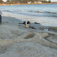 Astrid Visser (@ruitendrop) 's Twitter Profile Photo