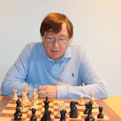 Michel is verkooptrainer, schaaktrainer en auteur. #chesspunks https://t.co/9Q7j220d52