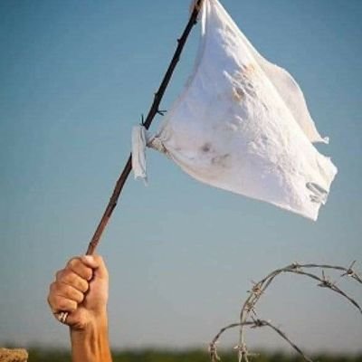 mekiderbie123's profile picture. 