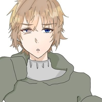 とめり@空飛びたいさんのプロフィール画像