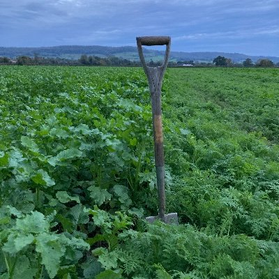Mixed Dairy, beef and arable farm in Gloucestershire passionate about farming to improve soil health,biodiversity, wildlife and the environment.