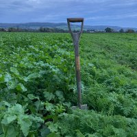 Middlehall farm (@middlehallf) 's Twitter Profile