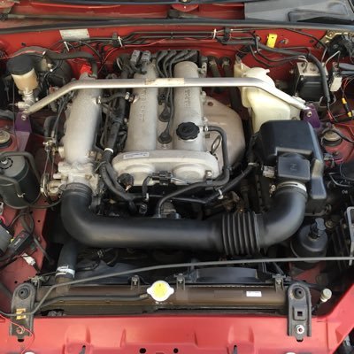 タバスコ Profile