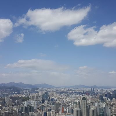 popopu_m's profile picture. 지지하는 정당, 정치인 딱히 없음. 그나마 멀쩡해서 눈 여겨보는 정당과 정치인은 있음
좋아하는 건 한국 전통/귀여운 거/동물