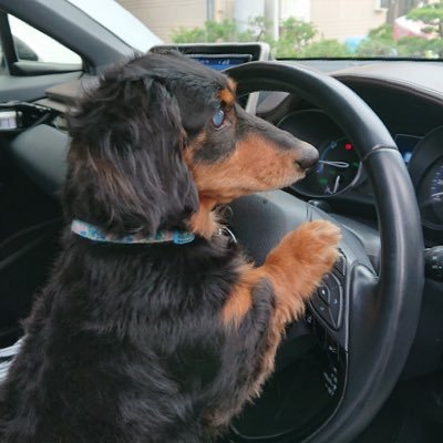 kei0611seabasu's profile picture. 車とゲームしかやることがない暇人のんびり静岡人