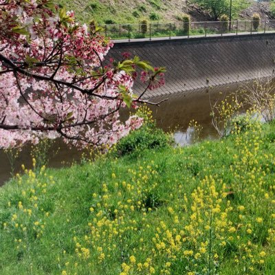 ひばり 淵野辺 大野北 上溝南